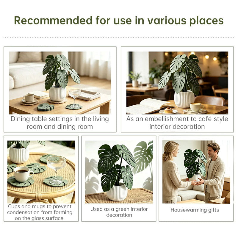 Monstera Leaf Coaster Set & Holder