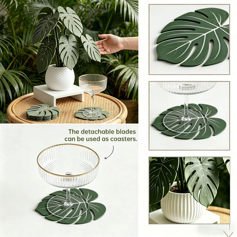 Monstera Leaf Coaster Set & Holder