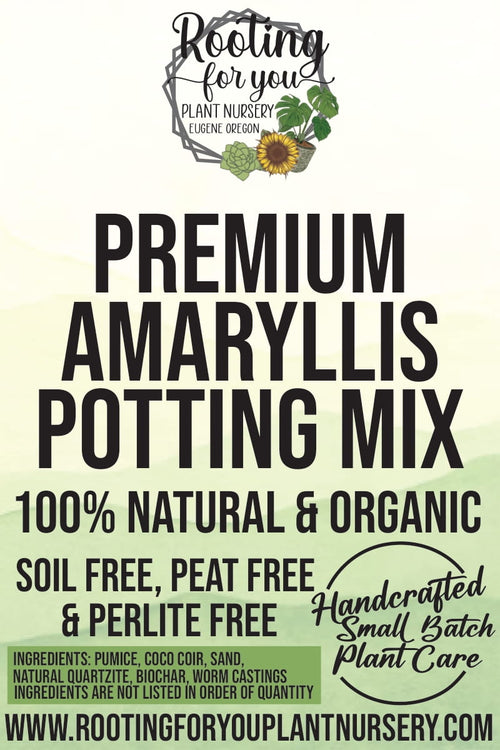 Amaryllis Premium Potting Mix