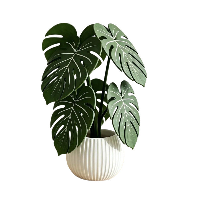 Monstera Leaf Coaster Set & Holder