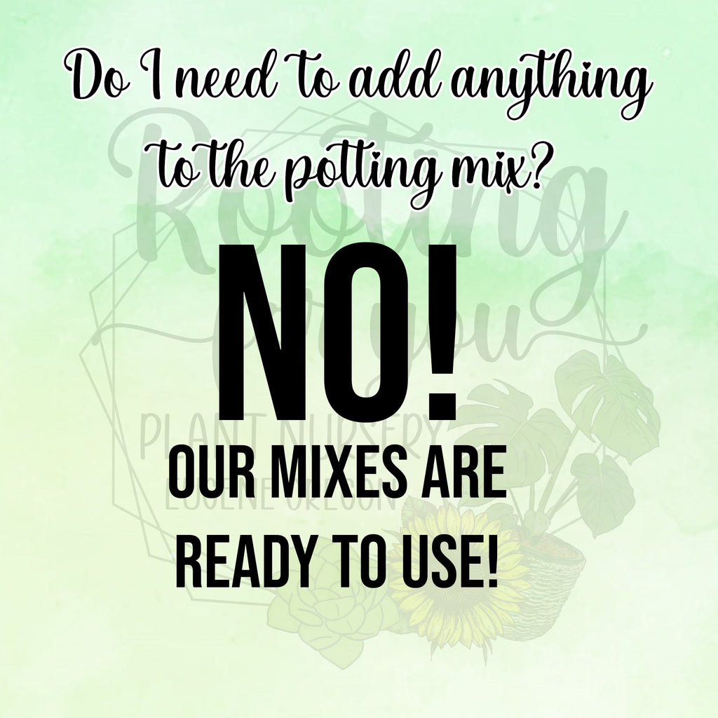 Extra Fine HOYA Premium Potting Mix