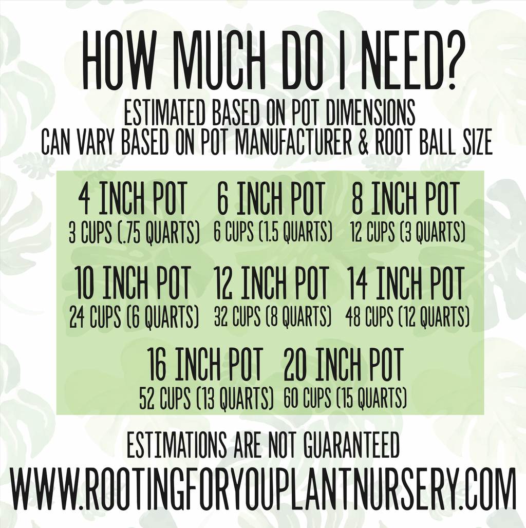 Dioscorea Premium Potting Mix