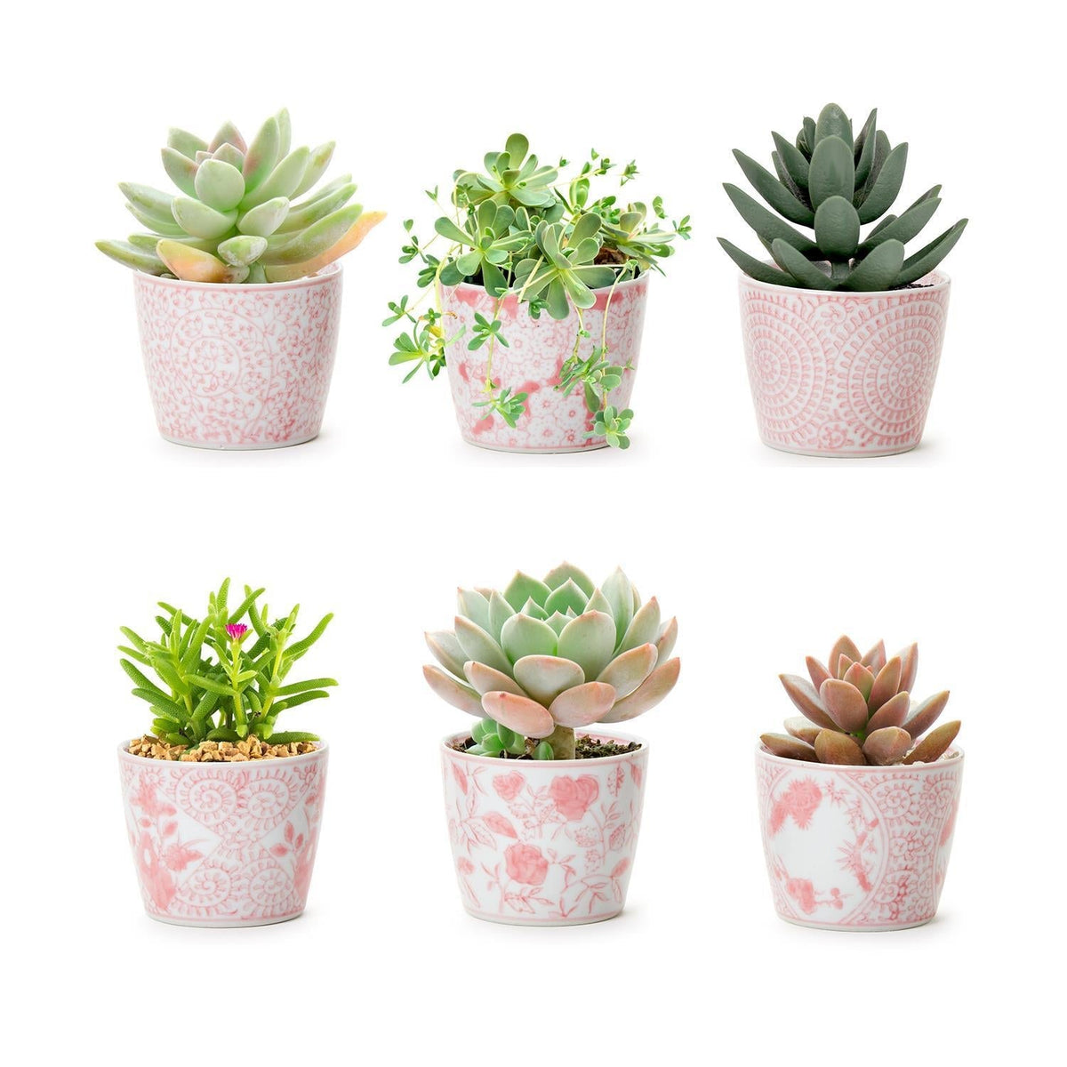Mini Pink Hand-Painted Porcelain Cachepots Set Of 6 Decorative Planters
